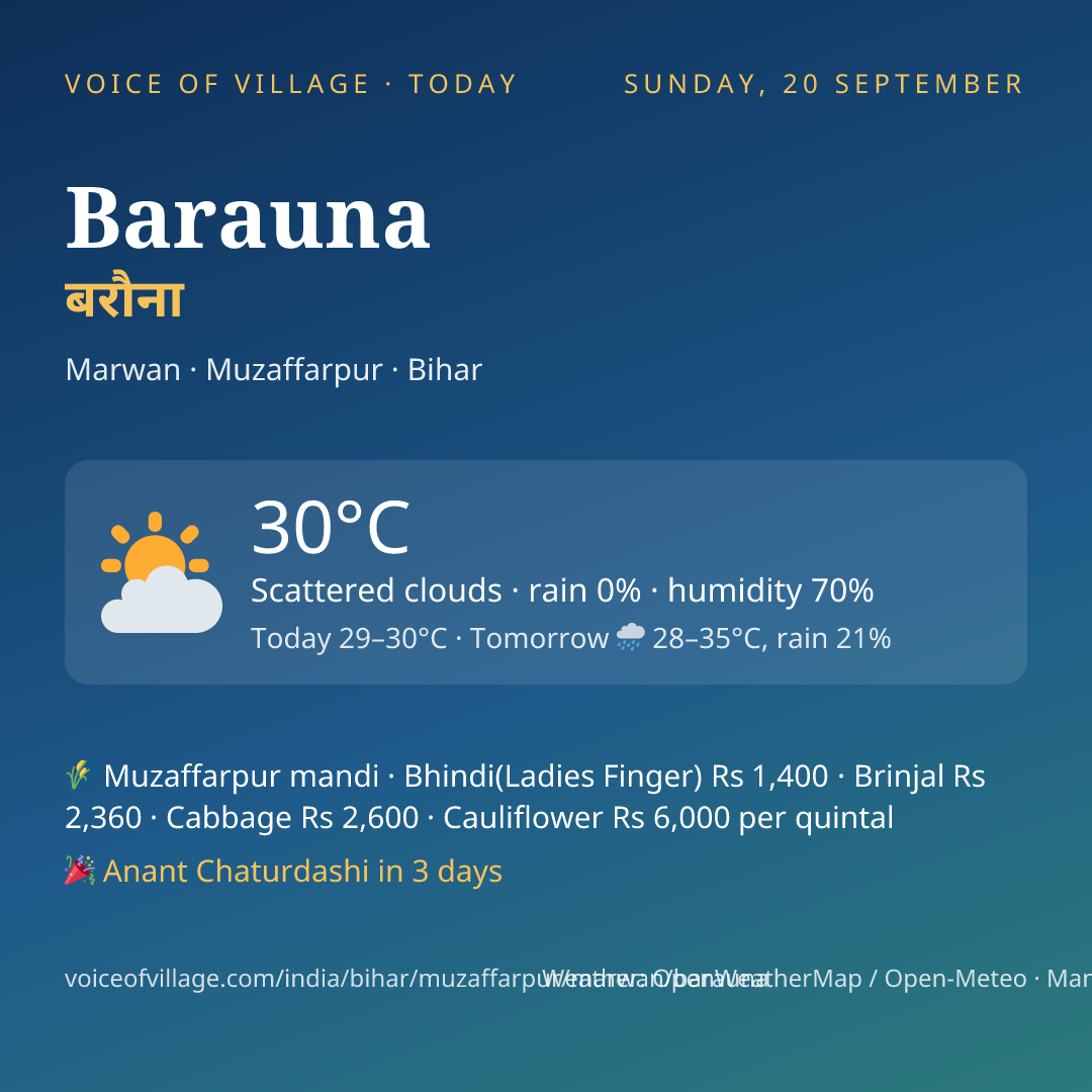 Barauna today