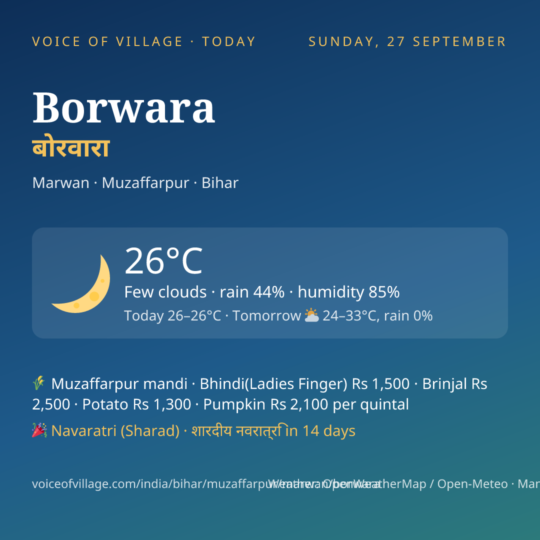 Borwara today