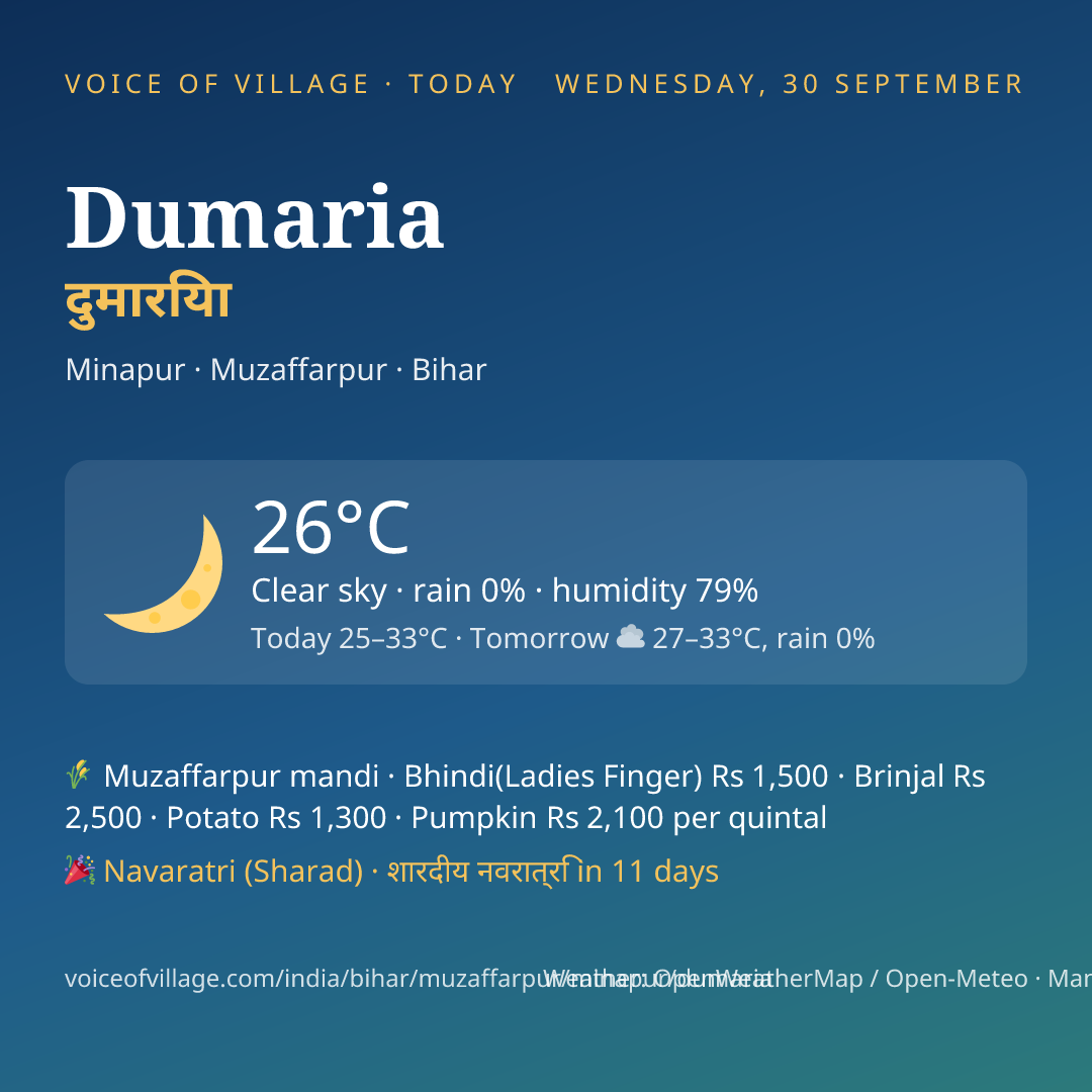 Dumaria today