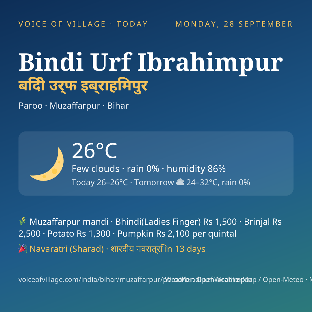 Bindi Urf Ibrahimpur today