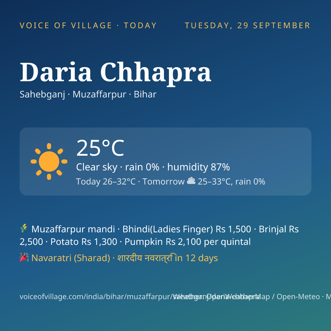 Daria Chhapra today