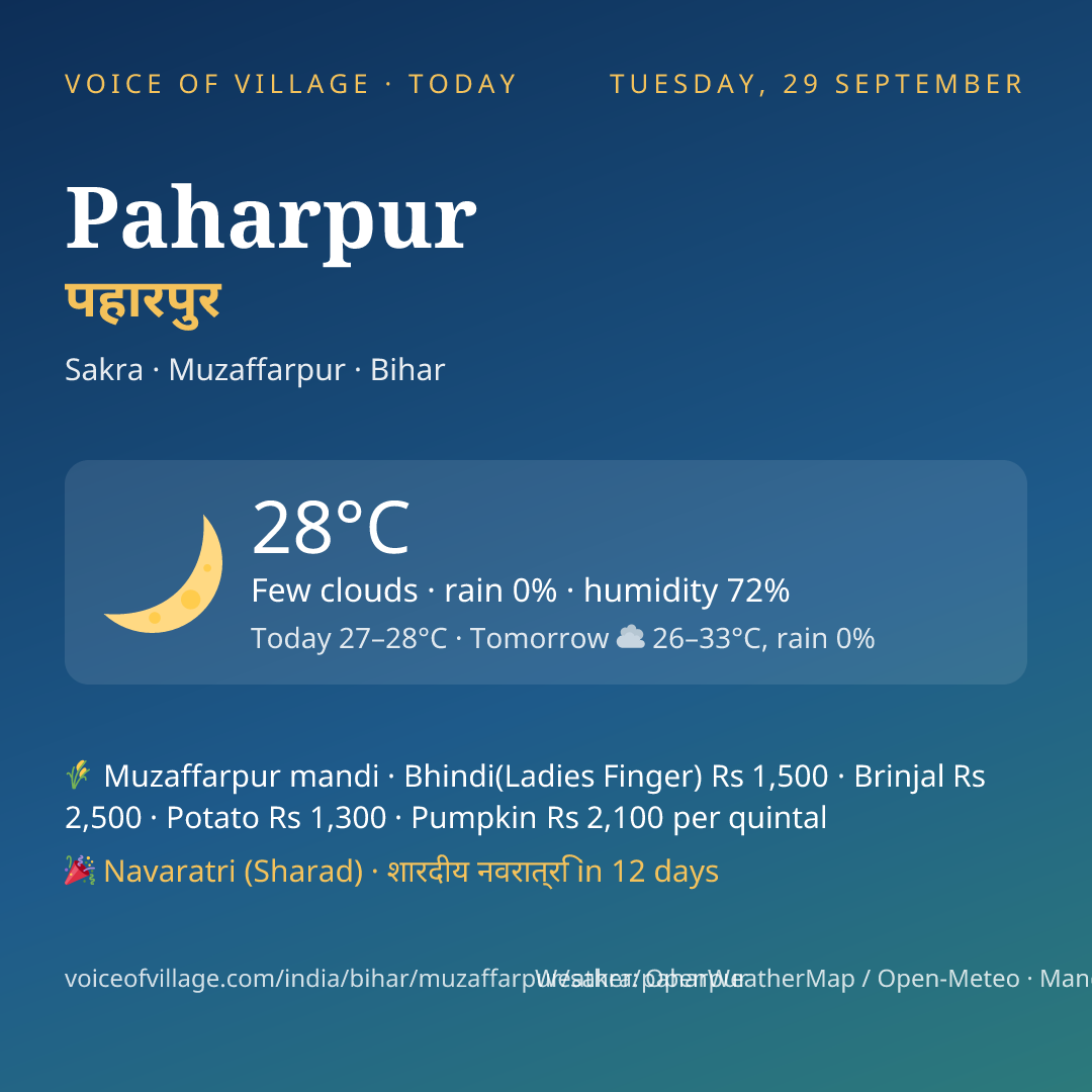 Paharpur today