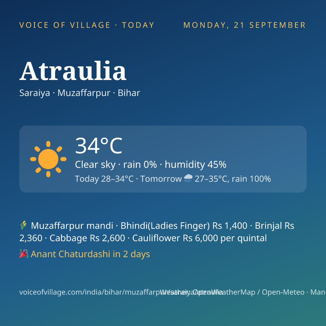 Atraulia today
