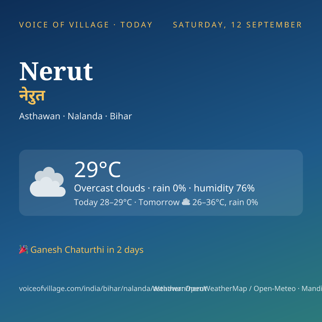 Nerut today