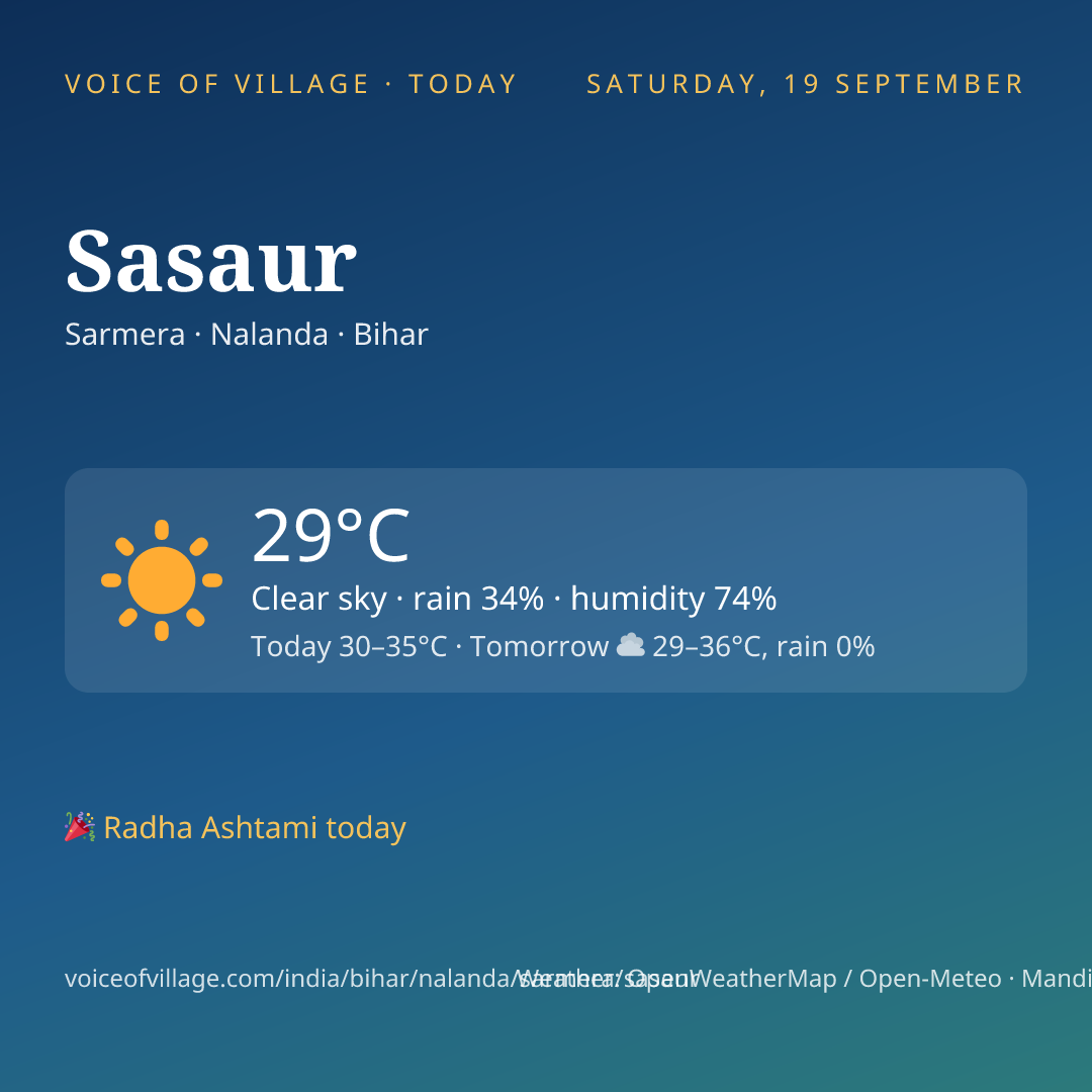 Sasaur today