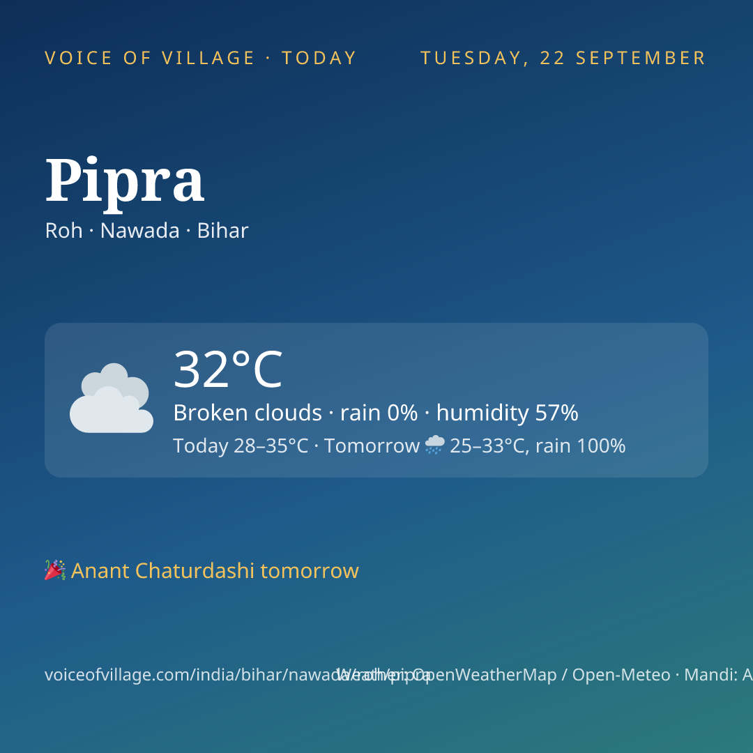 Pipra today