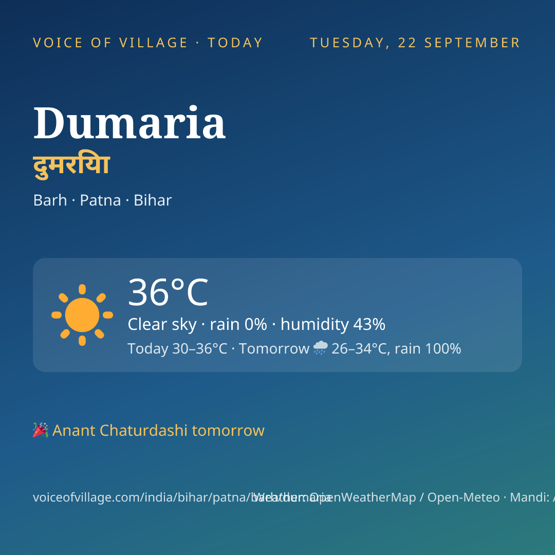Dumaria today