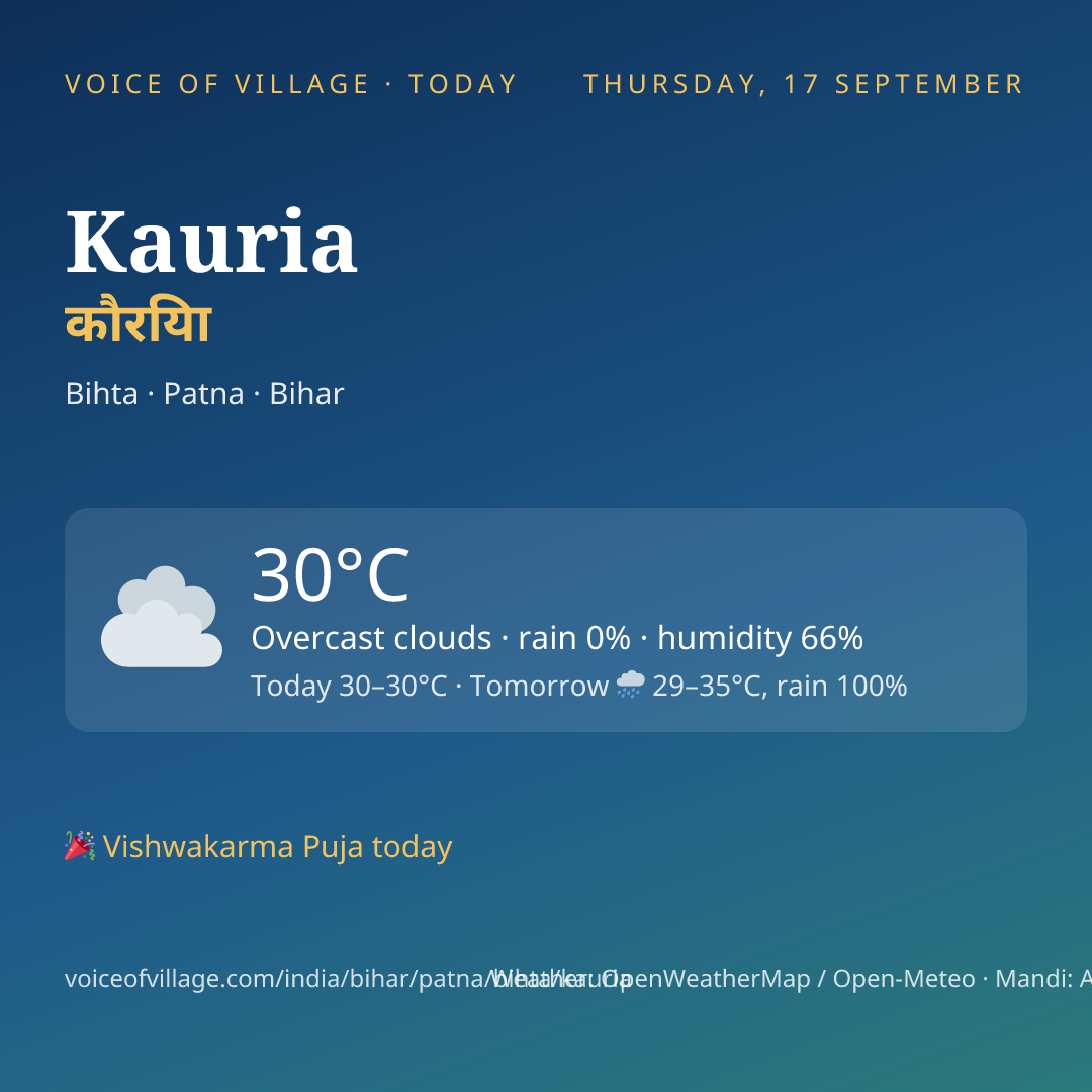 Kauria today