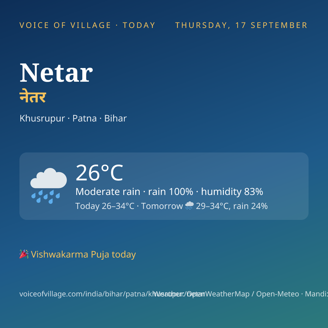 Netar today