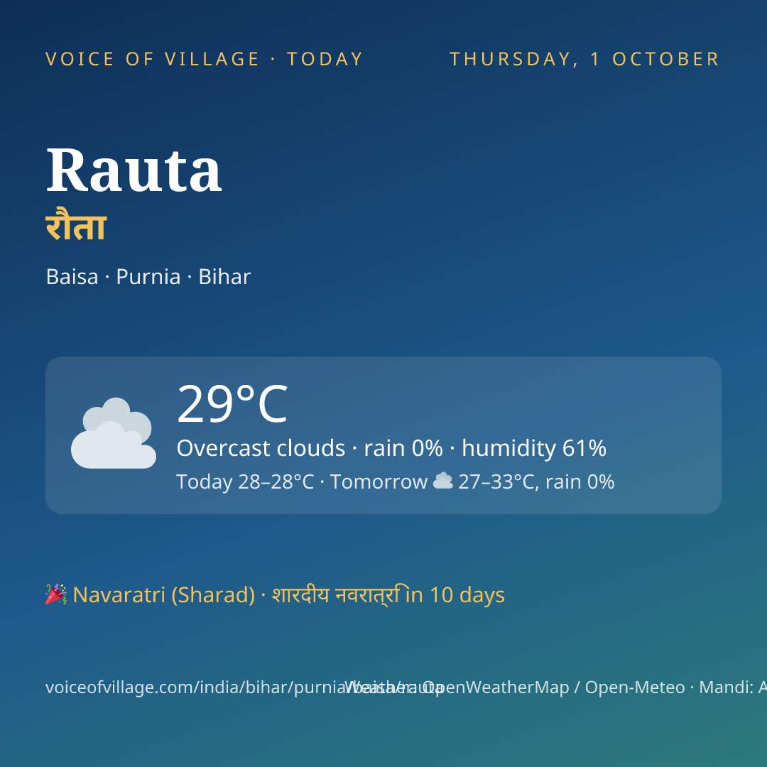 Rauta today