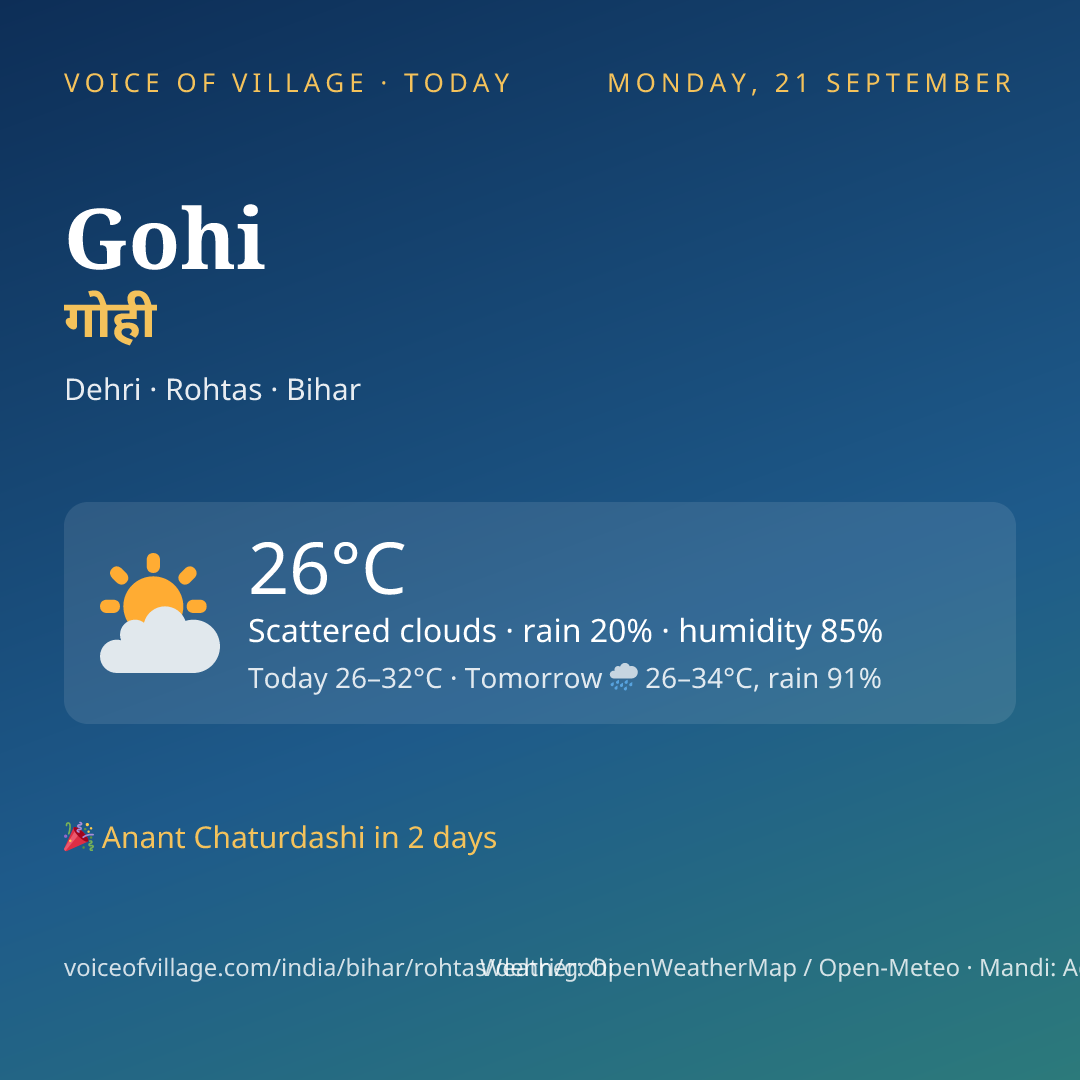 Gohi today