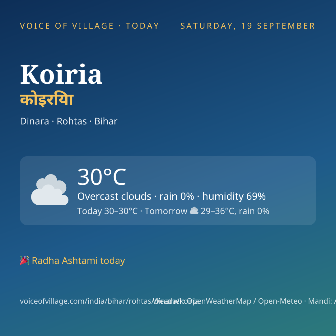 Koiria today