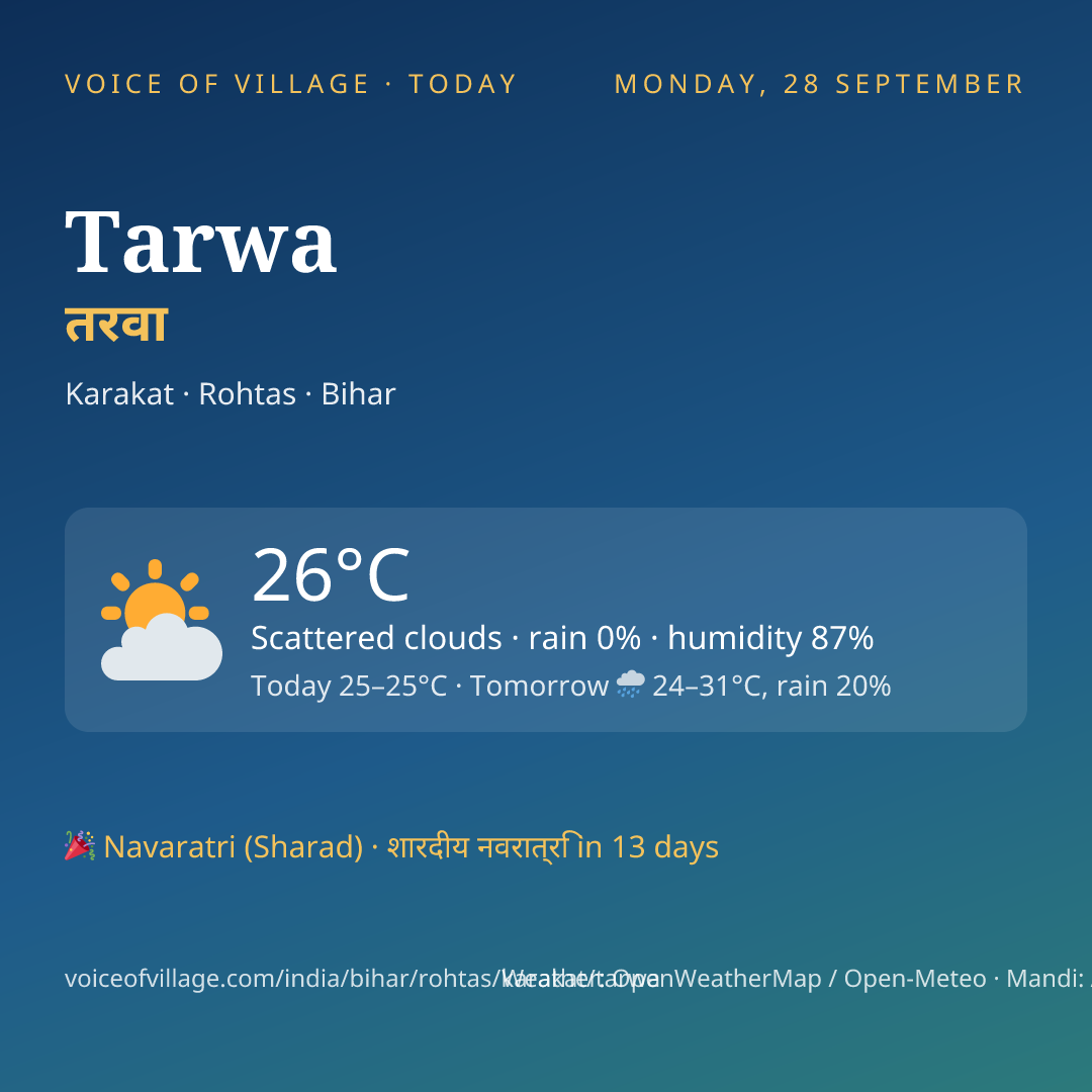 Tarwa today