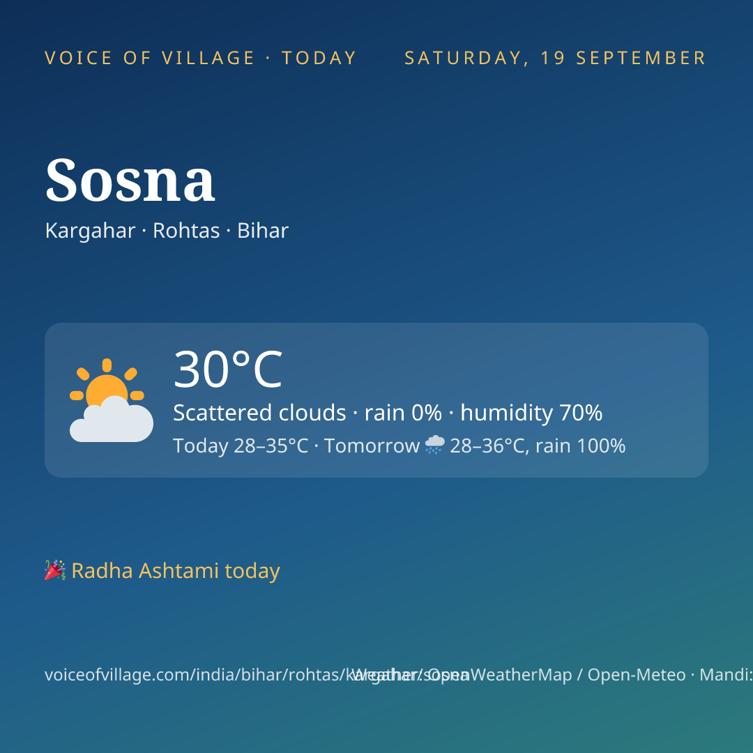 Sosna today