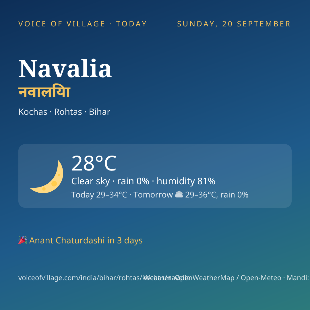 Navalia today