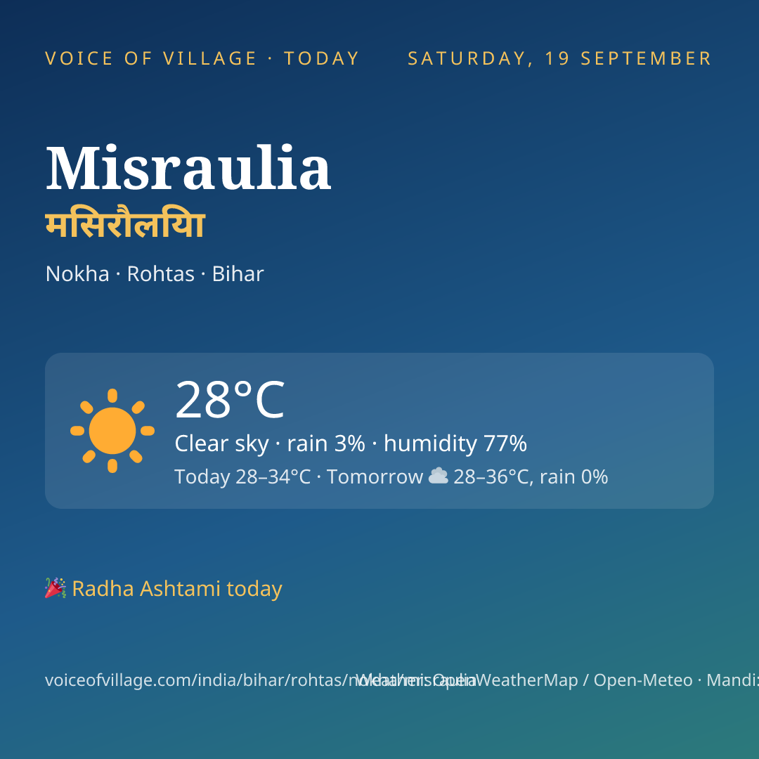 Misraulia today