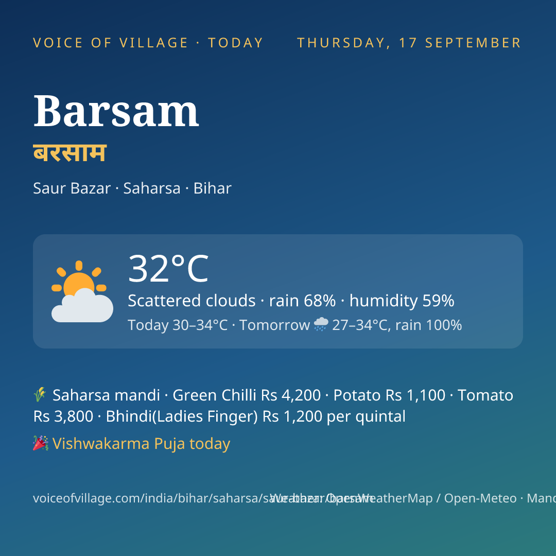 Barsam today
