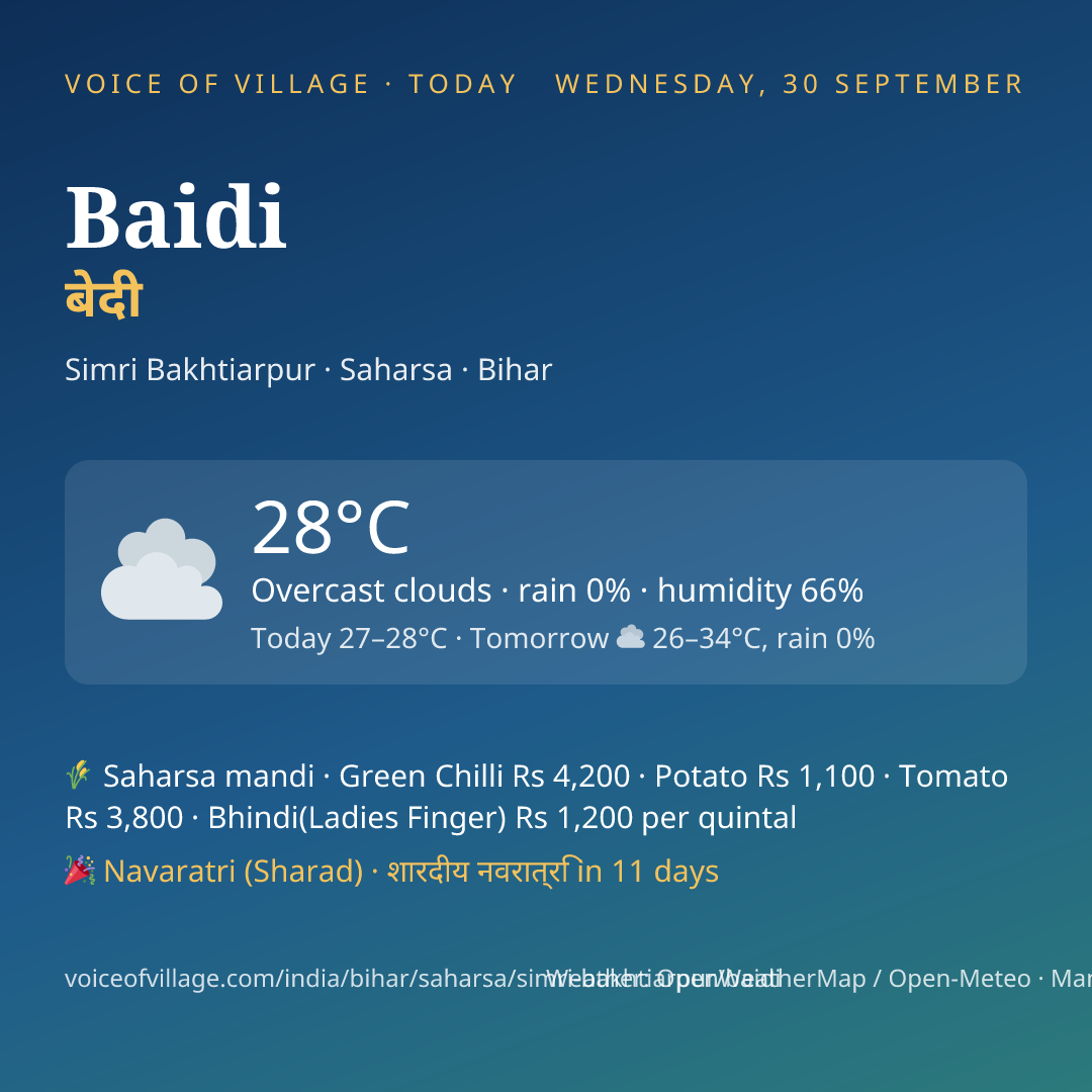 Baidi today
