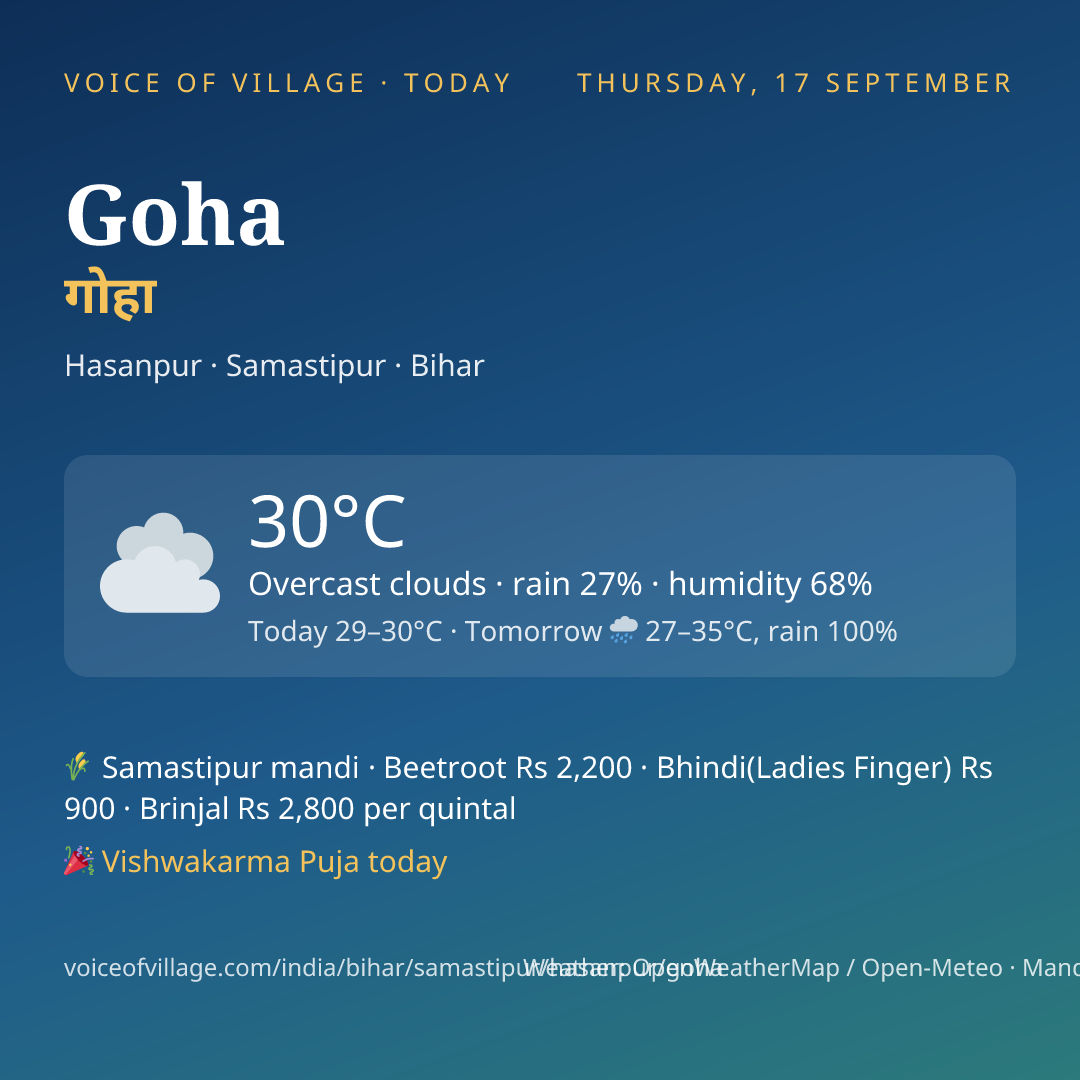Goha today