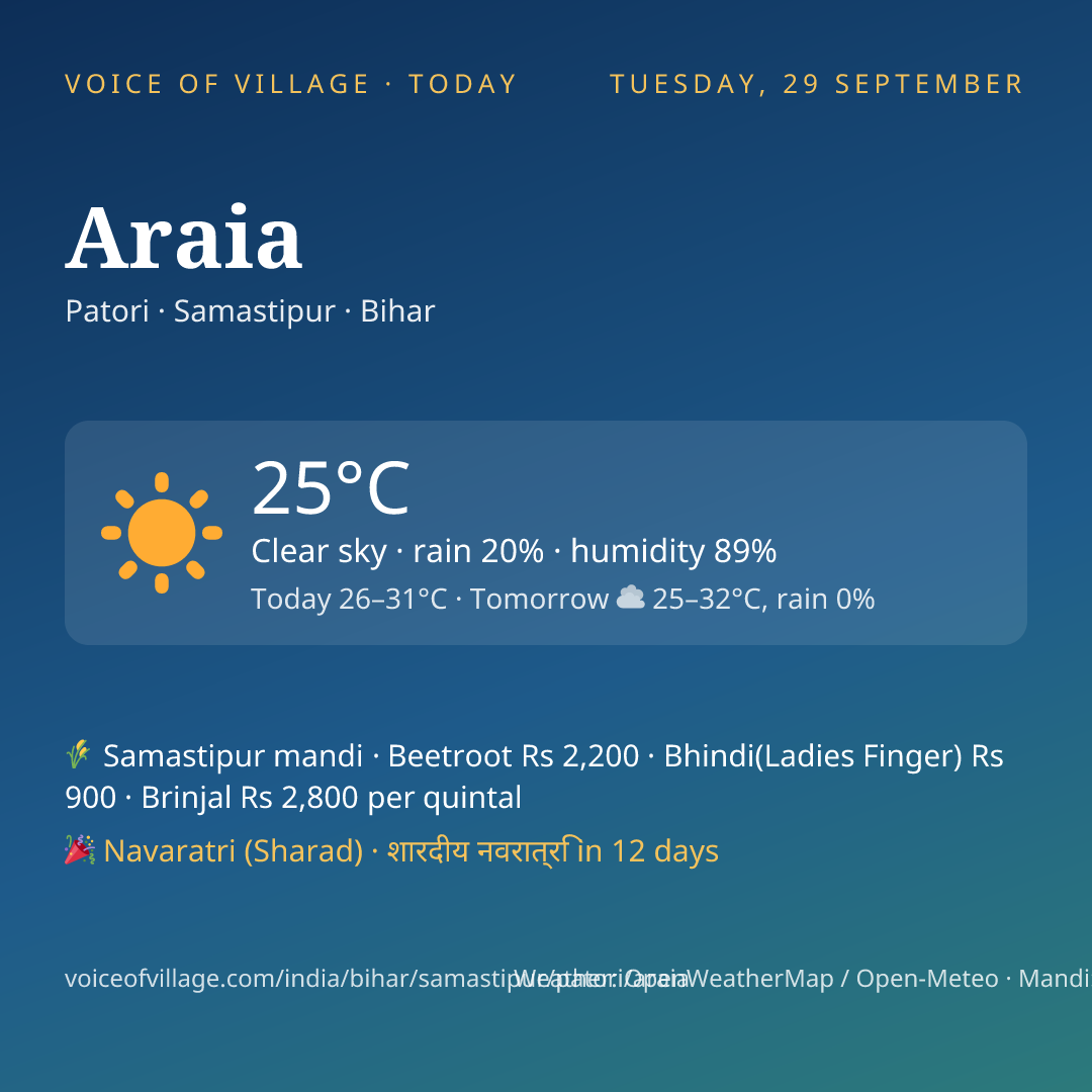Araia today