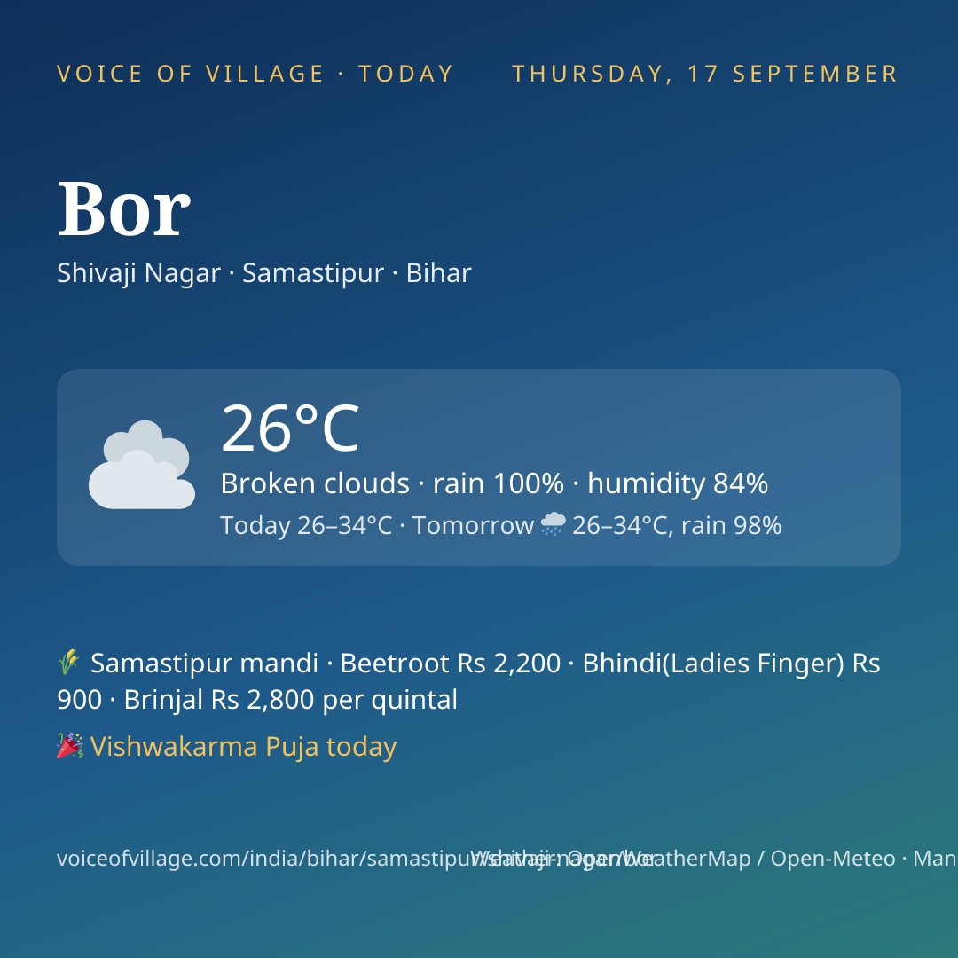 Bor today