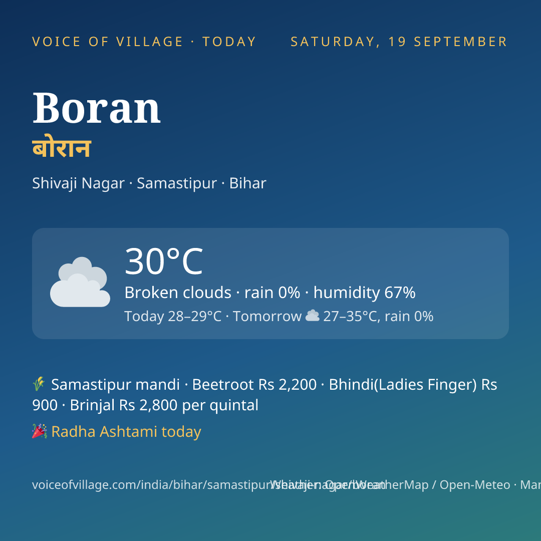 Boran today