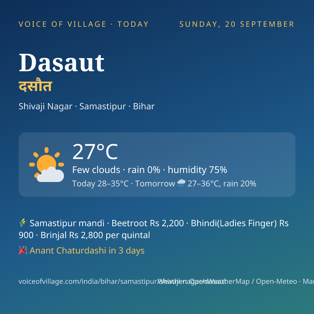 Dasaut today