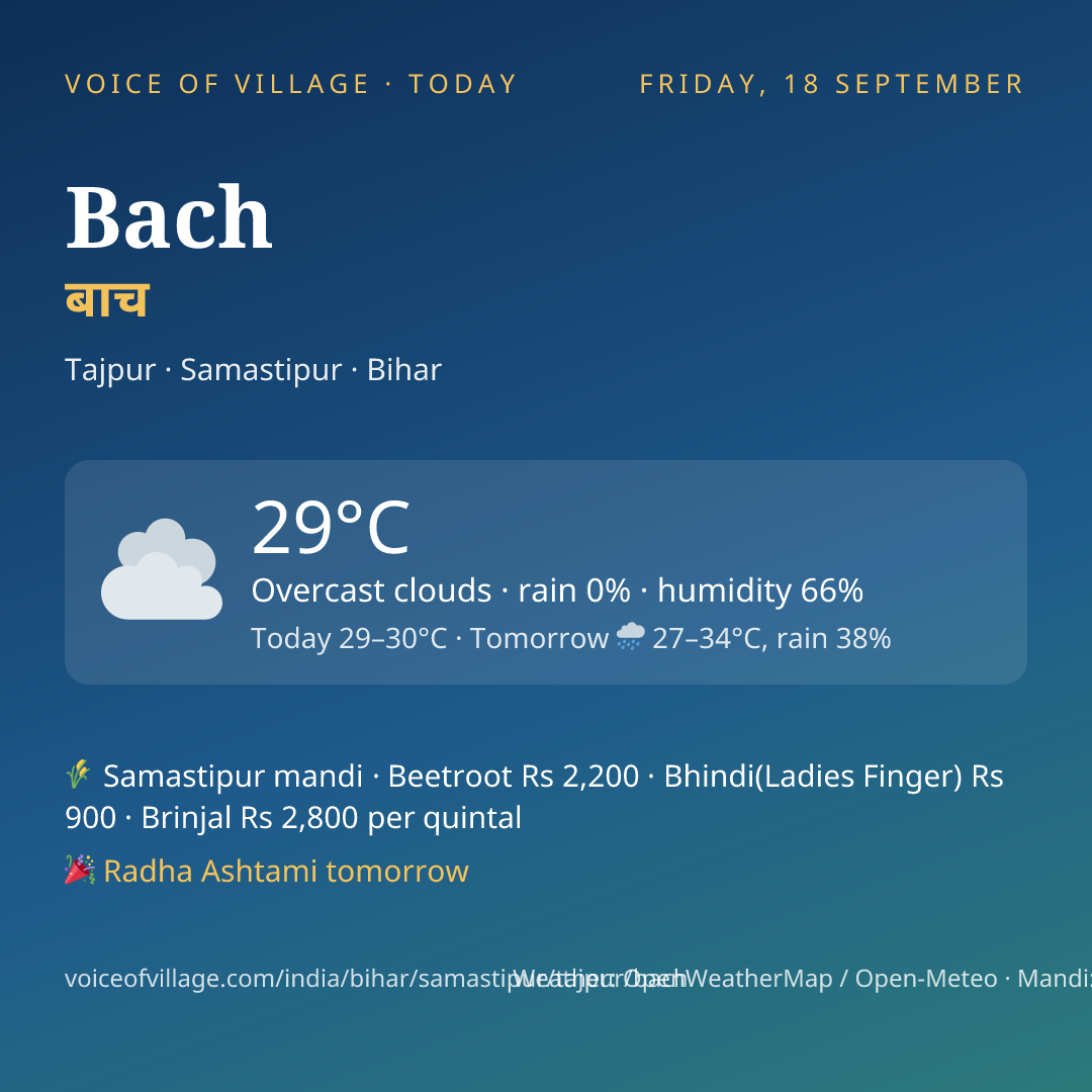 Bach today