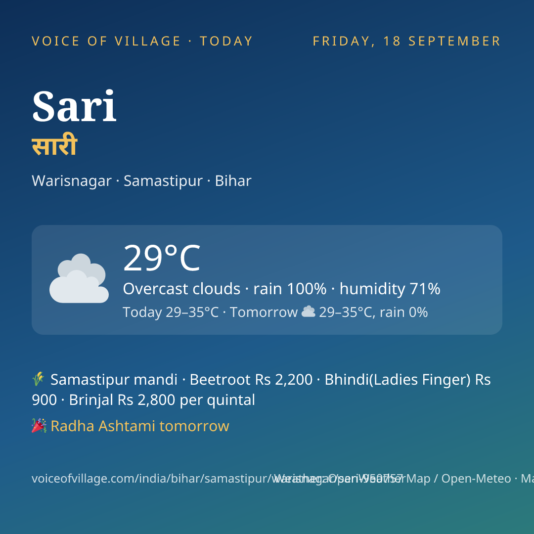 Sari today