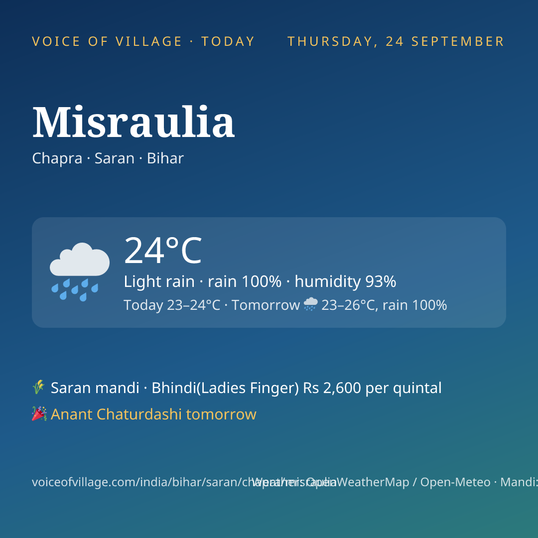 Misraulia today