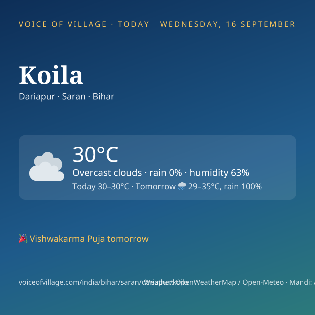 Koila today