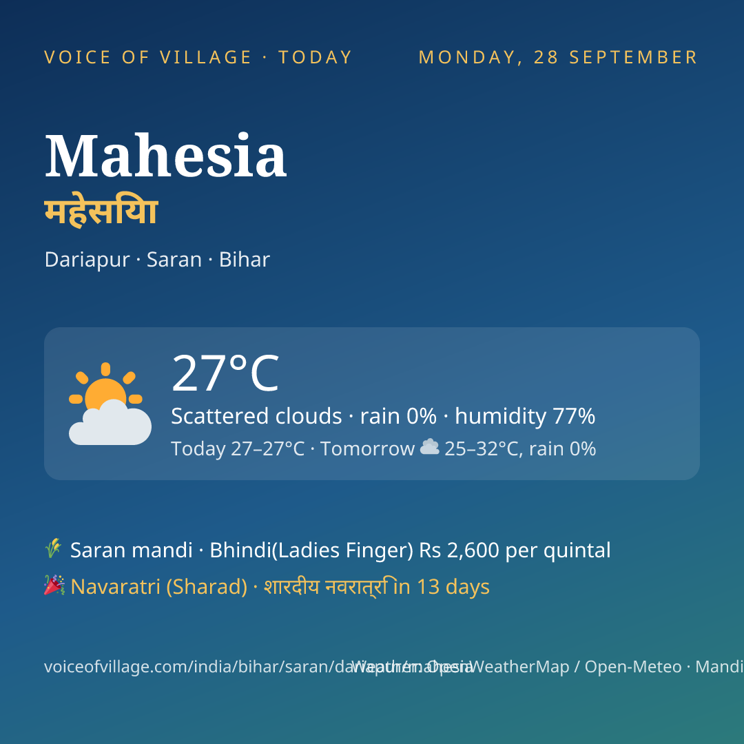 Mahesia today
