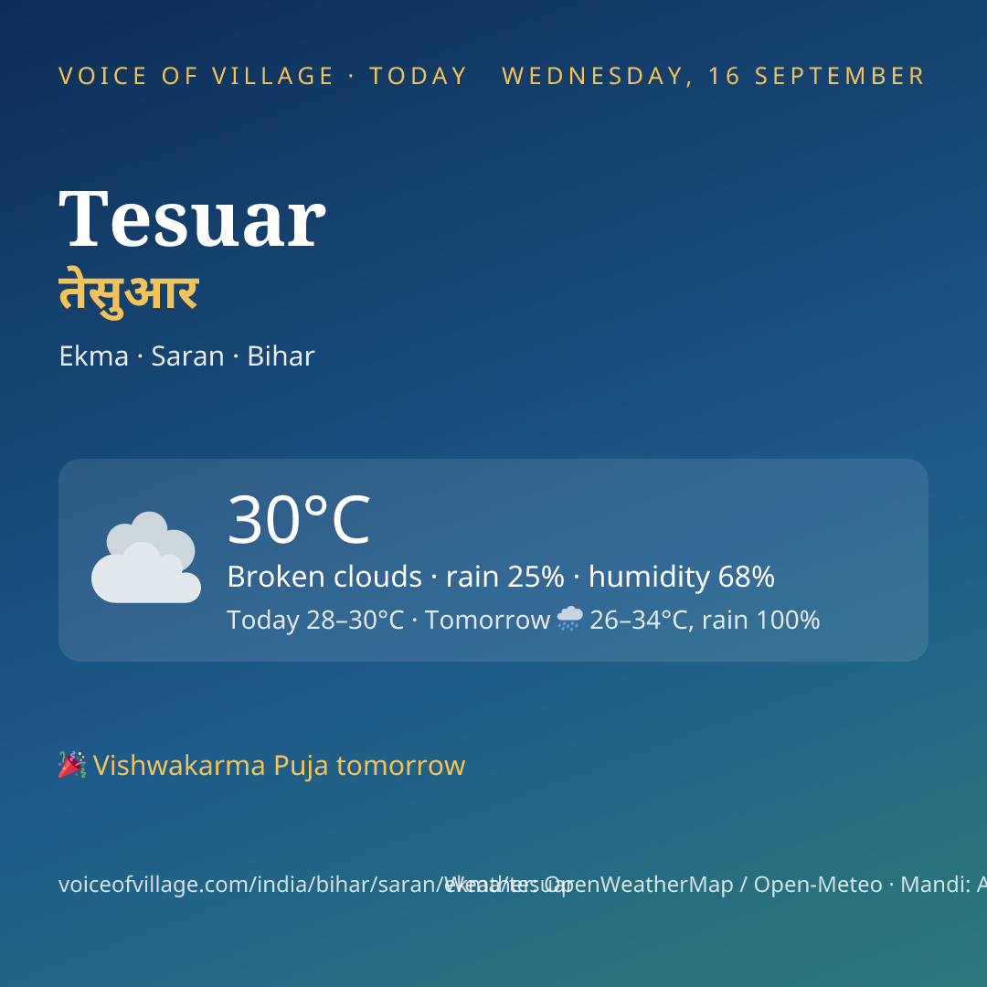 Tesuar today