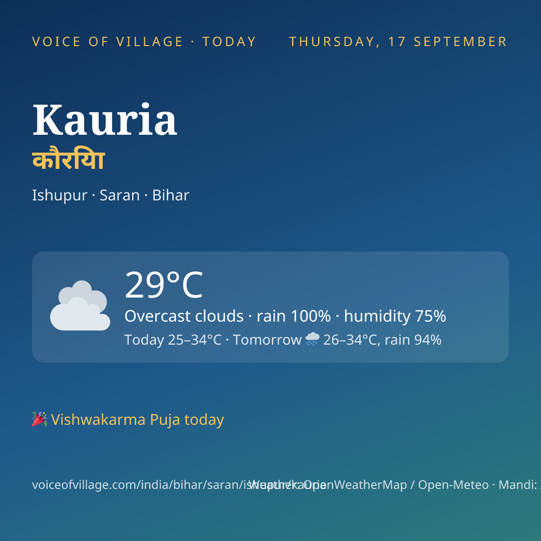 Kauria today