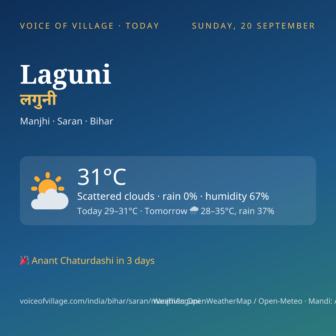 Laguni today