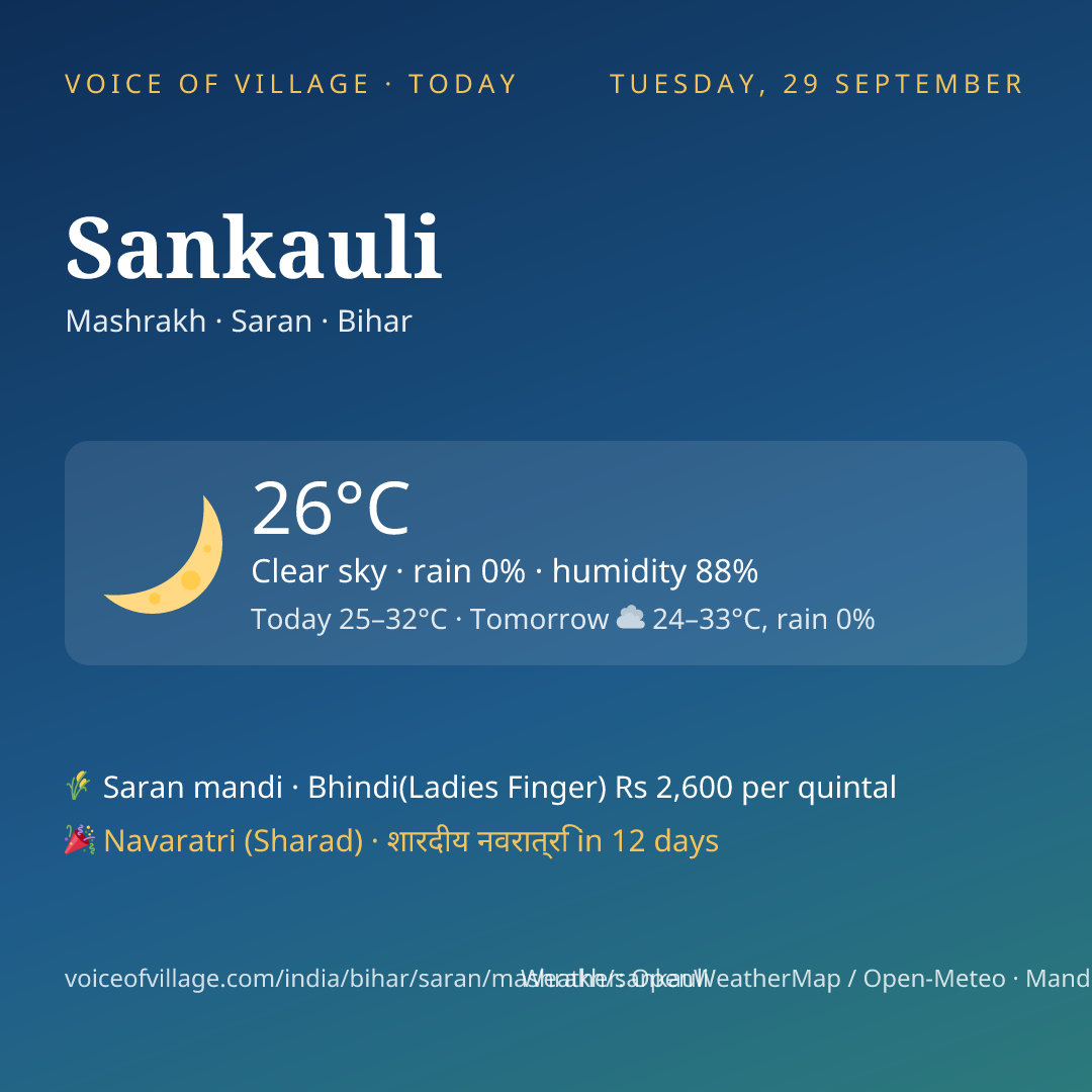 Sankauli today