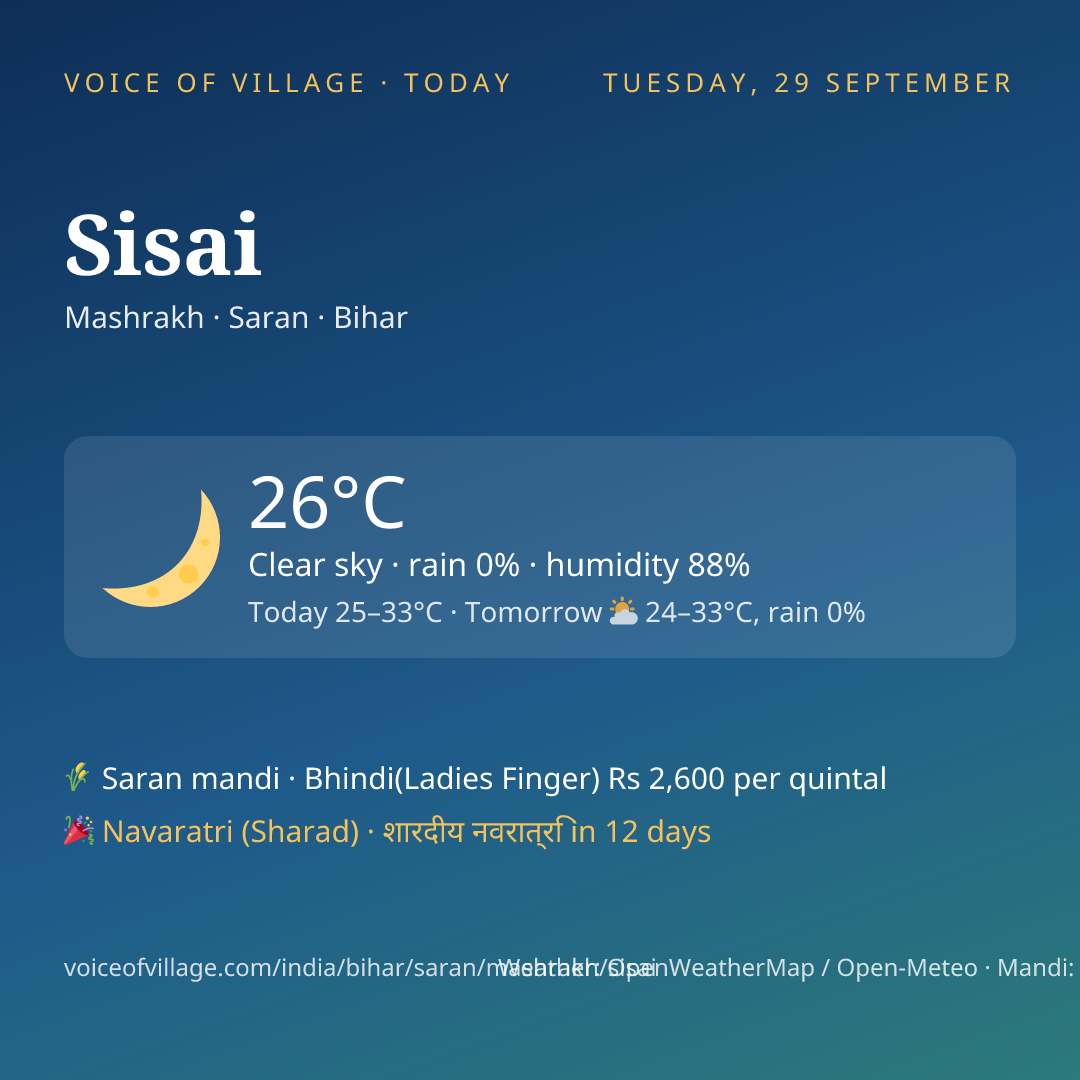 Sisai today
