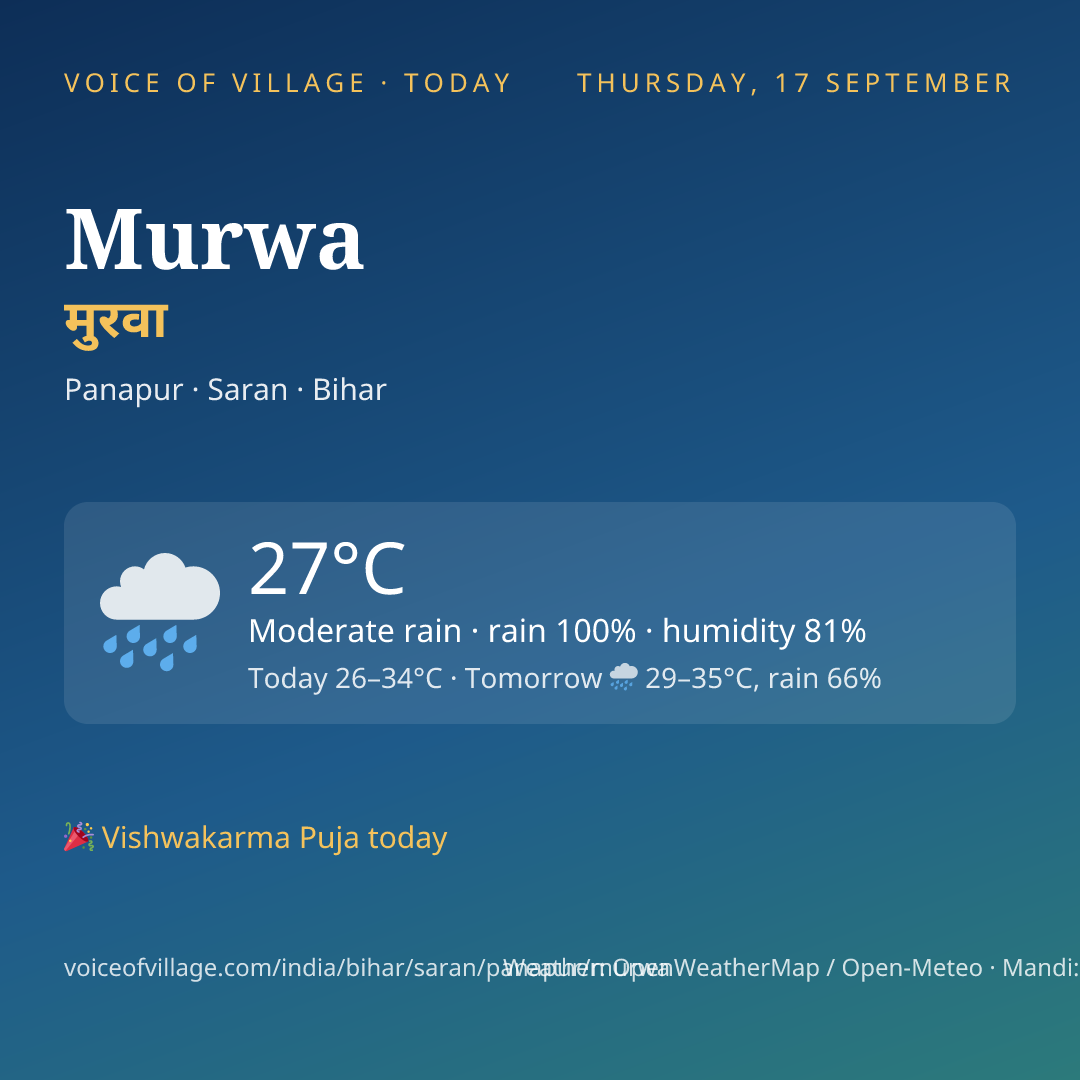 Murwa today