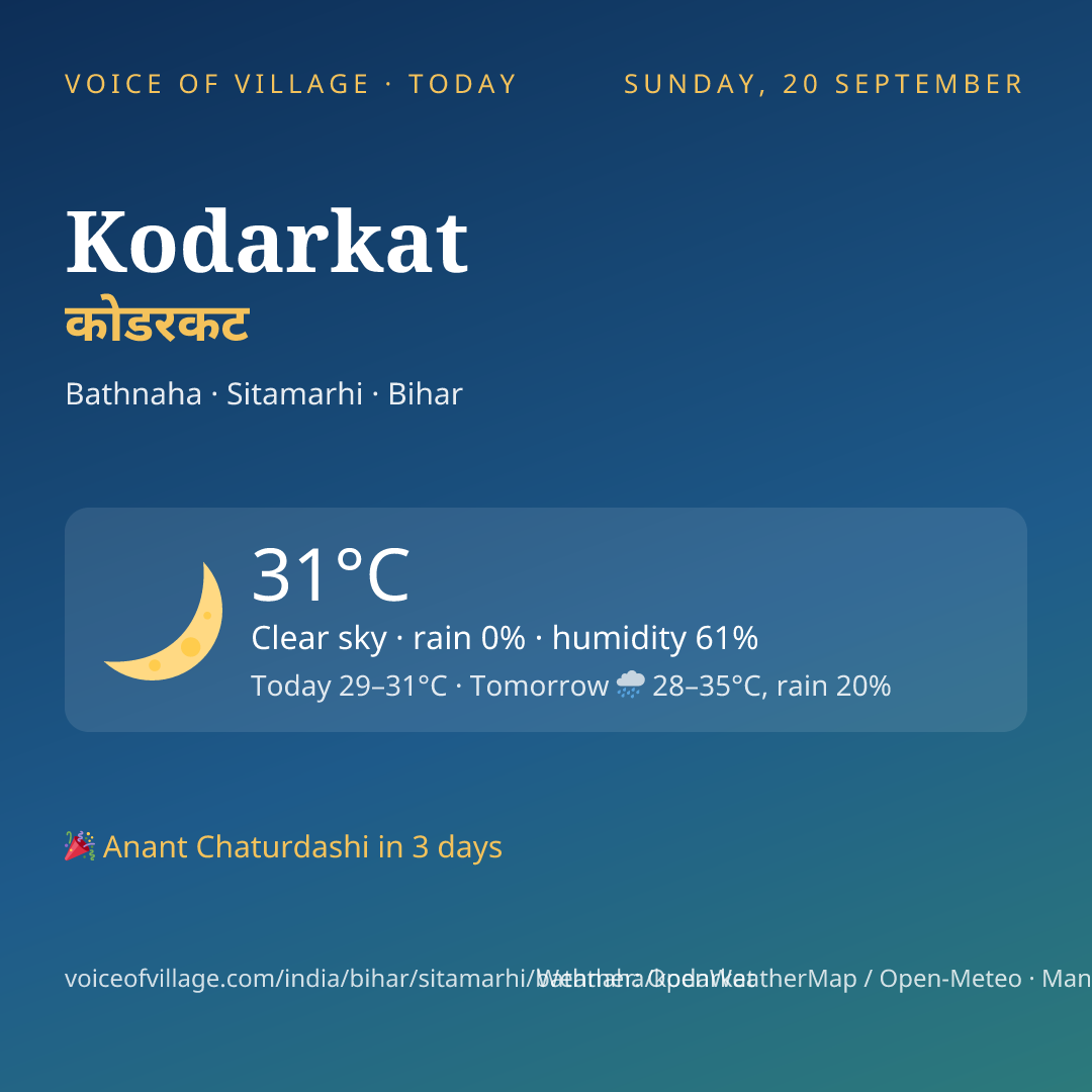 Kodarkat today
