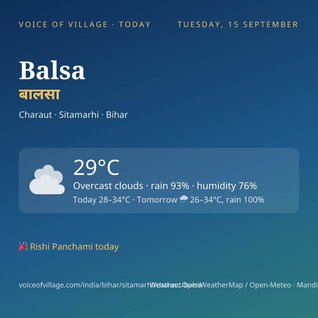 Balsa today