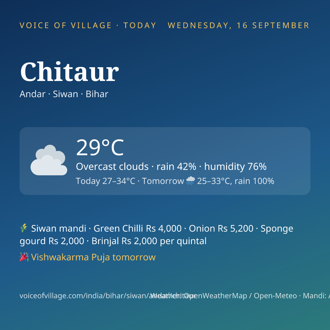 Chitaur today