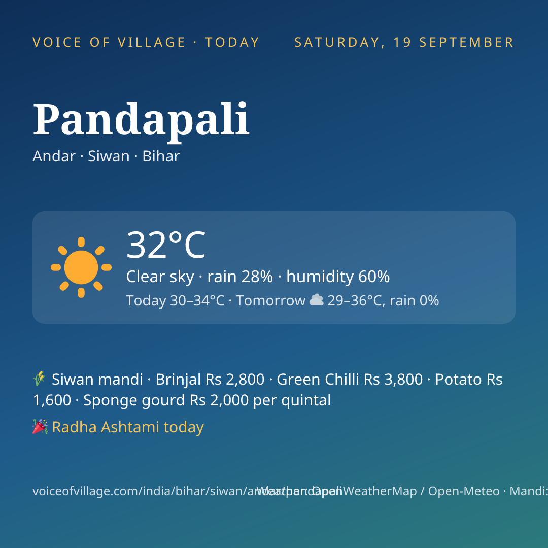 Pandapali today