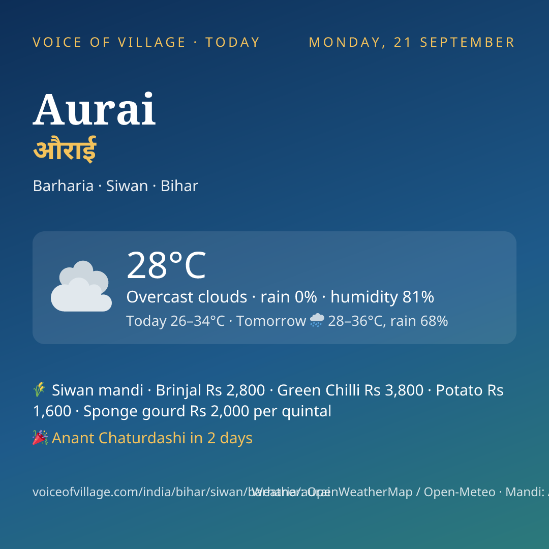 Aurai today