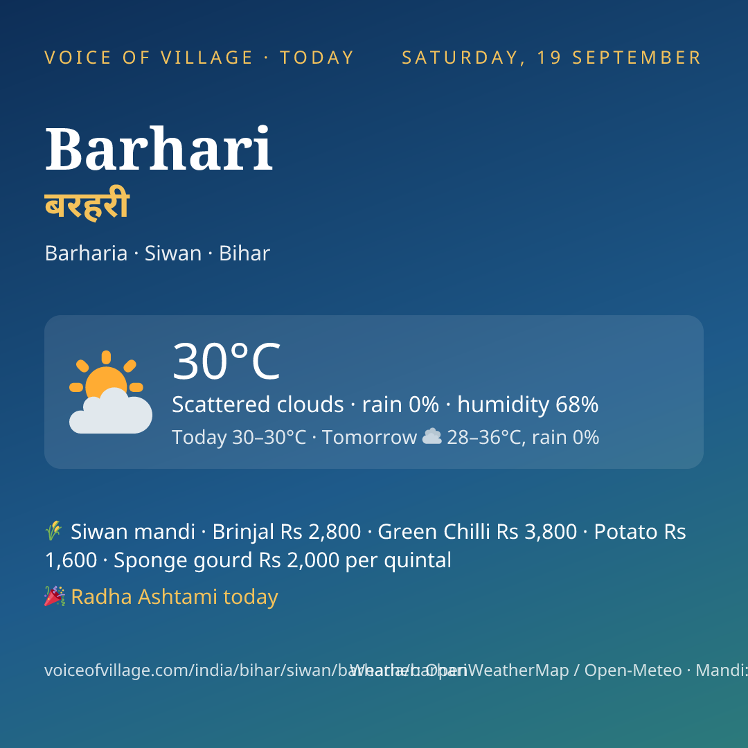 Barhari today