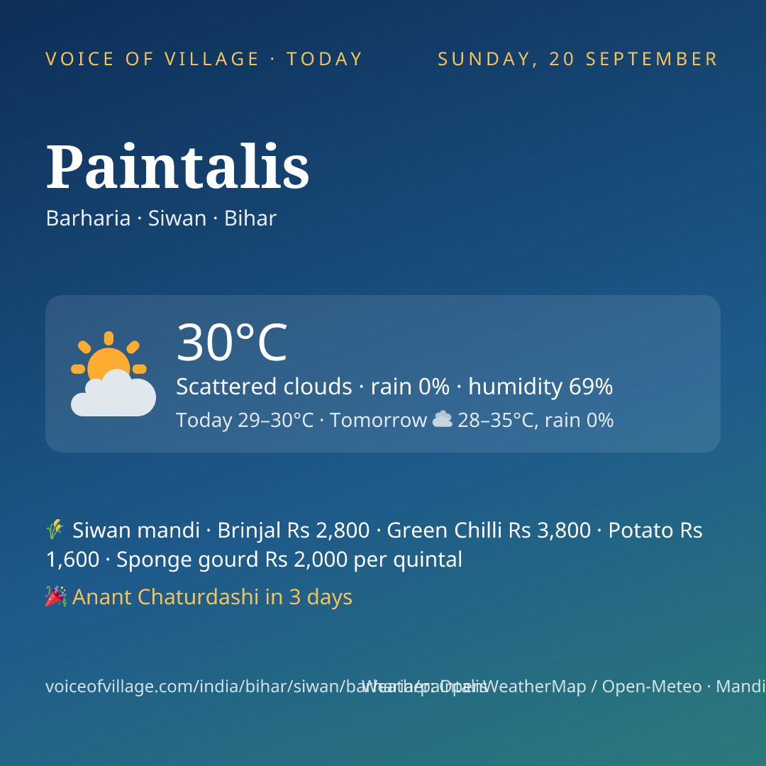 Paintalis today