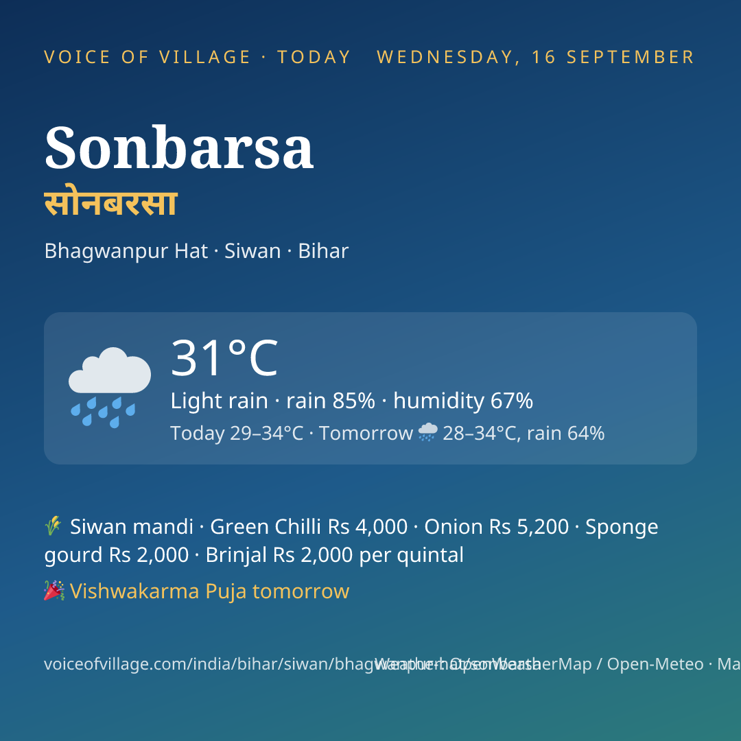 Sonbarsa today