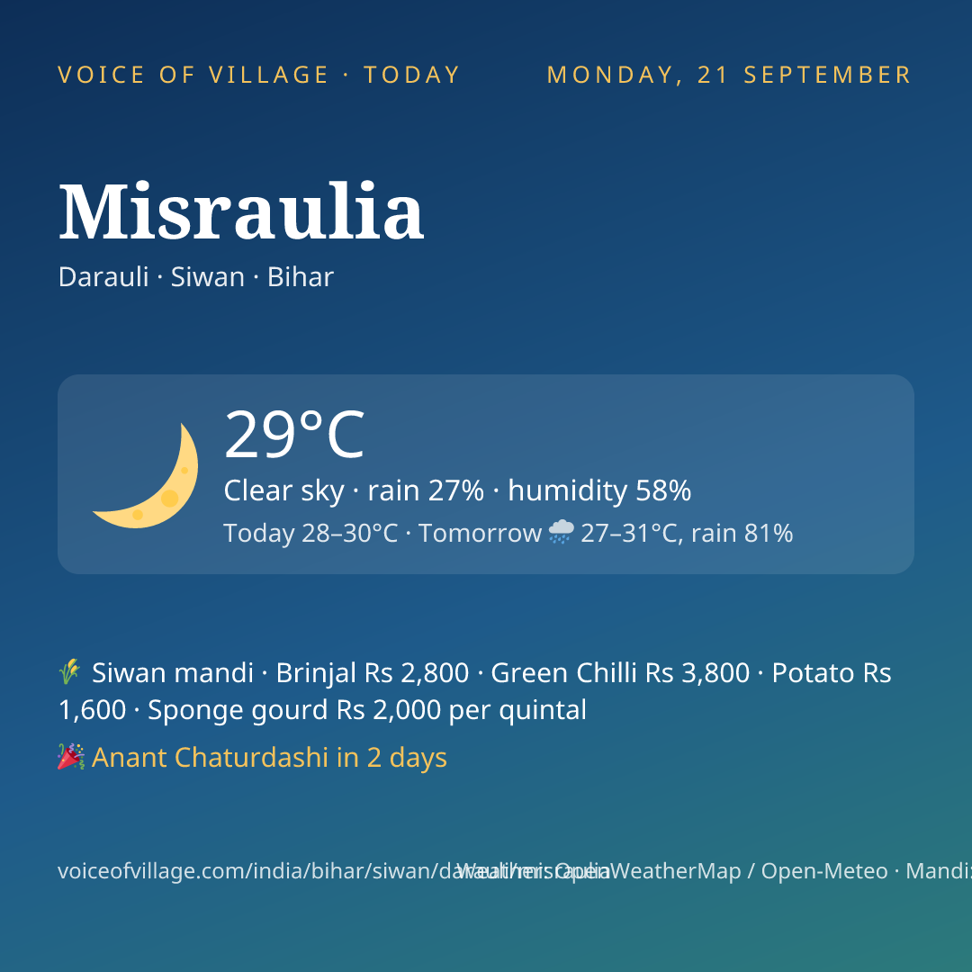 Misraulia today