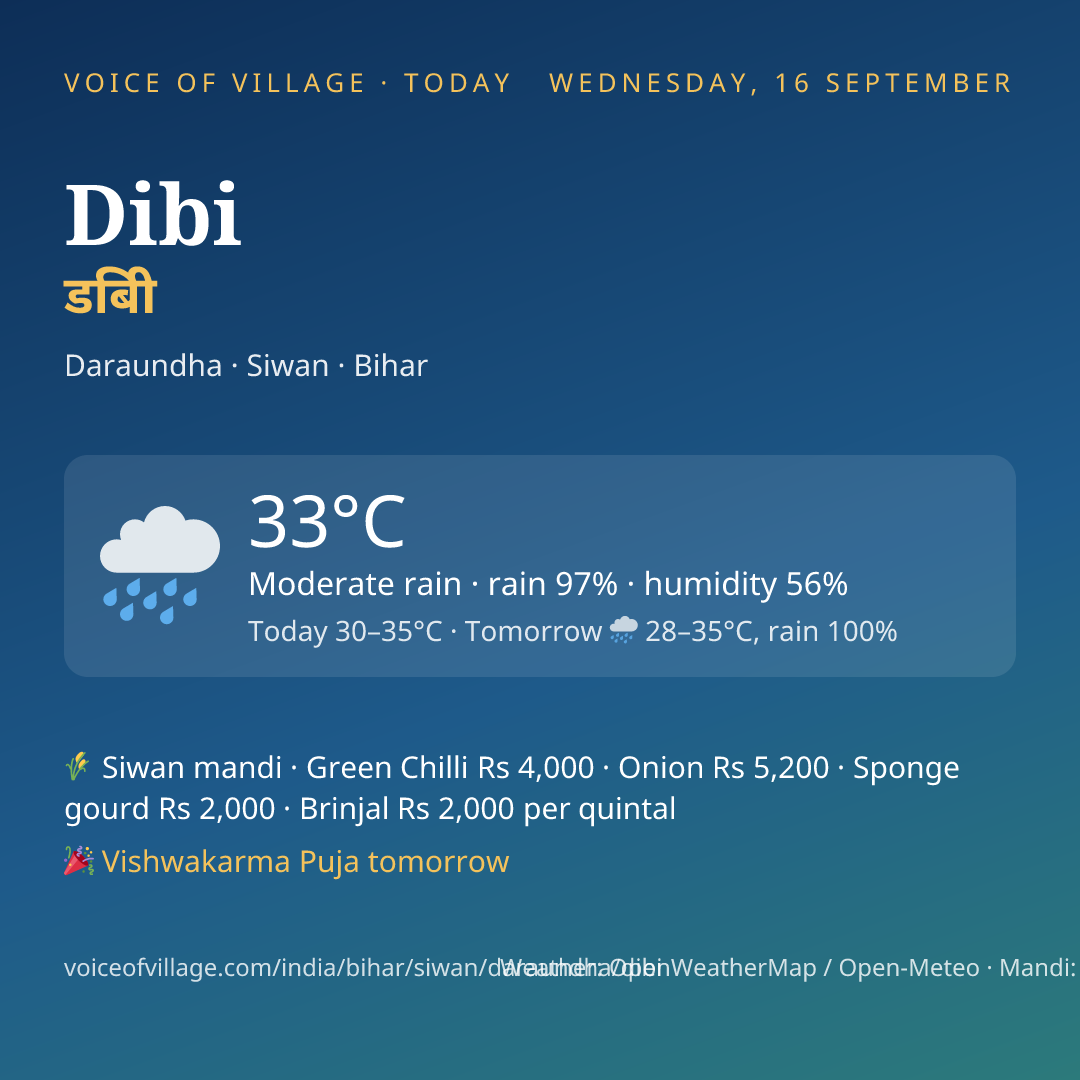 Dibi today