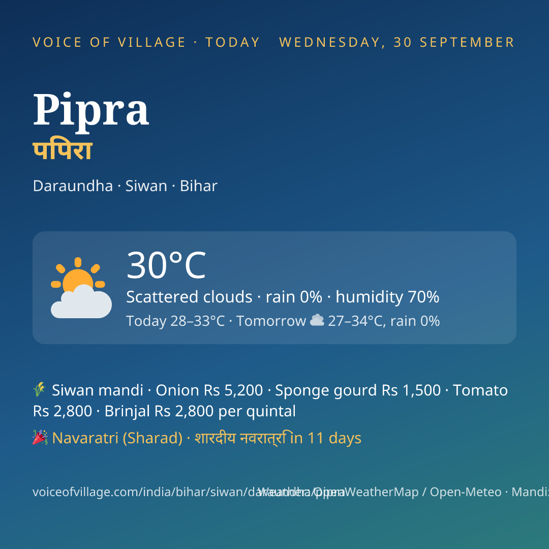 Pipra today