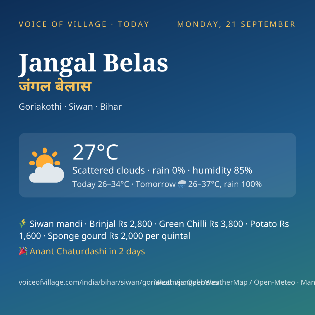 Jangal Belas today